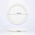 Sugarcane Round Plate D254 x H20mm (500pcs)