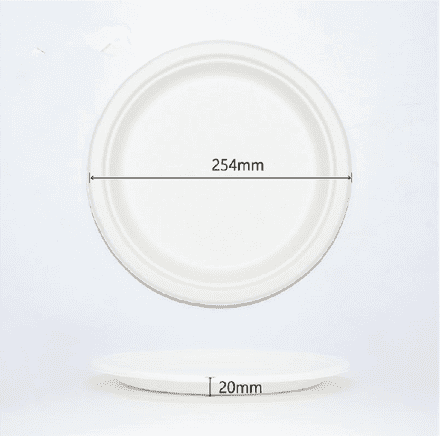 Sugarcane Bio 10" Round Plate (500pcs)