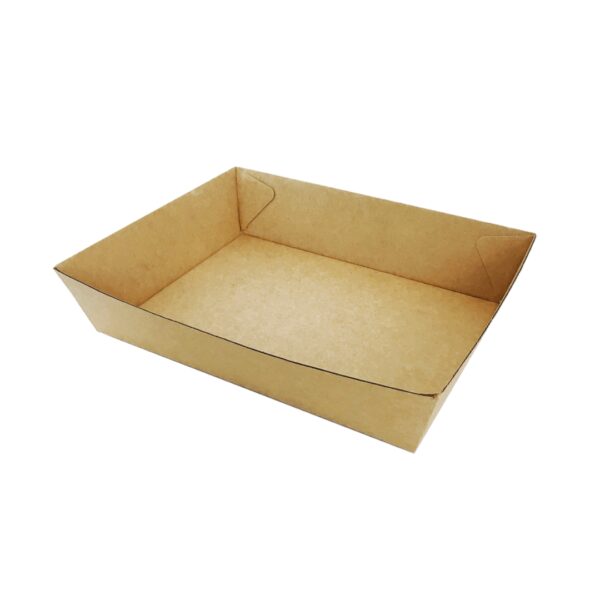 Brown Corrugated Tray #3 (250pcs)