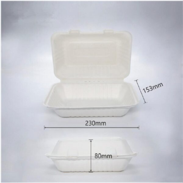 Sugarcane Bio Clamshell Snack Box 900ml (250pcs)