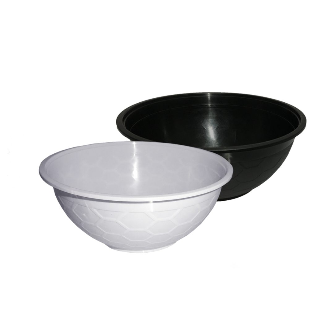 Fortune Pak Noodle Bowl