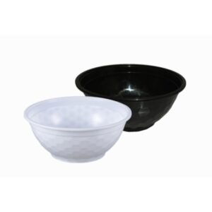 Fortune Pak Noodle Bowl