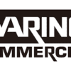 waring blenders