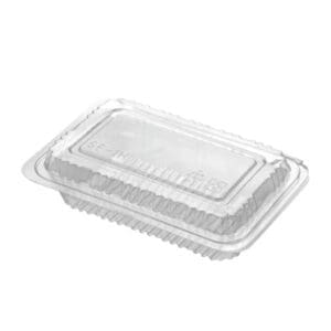 Small Sushi Takeaway Container