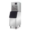 Blizzard Flake Ice Maker producing 250Kg per Day with 125kg storage Bin, SN-258F