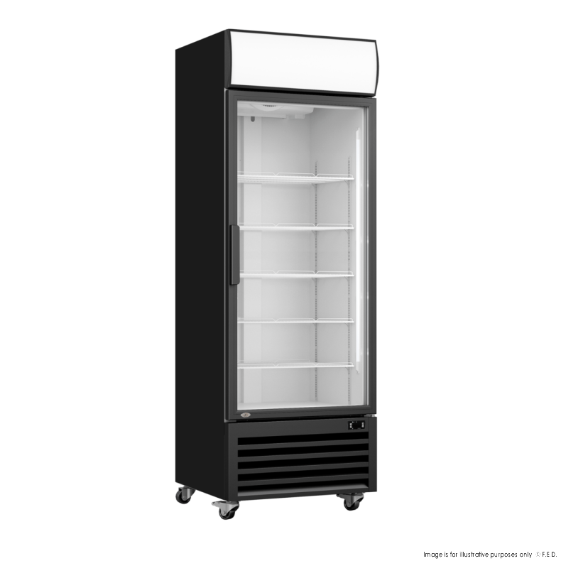 Thermaster 540L Single Door Upright Drink Fridge Black, LG-540BP