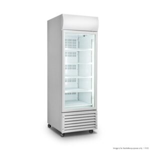 Thermaster Single Door Upright Drink Fridge, LG-370GT