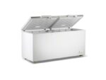 chest freezer 600 litre with 2 lids